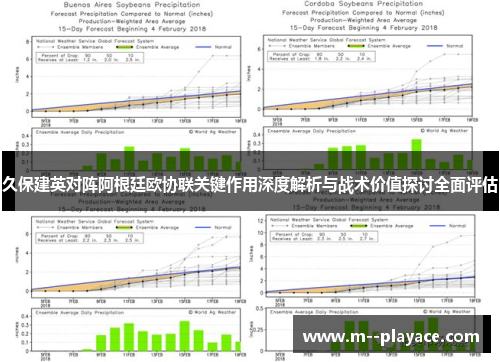 久保建英对阵阿根廷欧协联关键作用深度解析与战术价值探讨全面评估