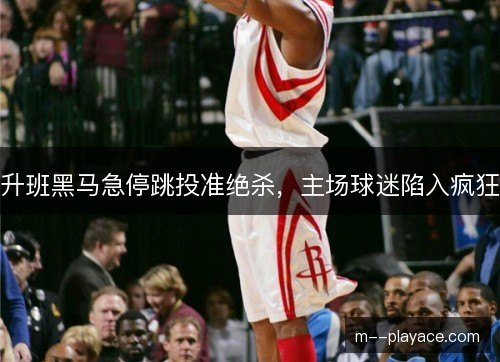 升班黑马急停跳投准绝杀，主场球迷陷入疯狂