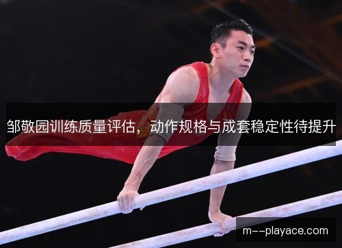 邹敬园训练质量评估，动作规格与成套稳定性待提升